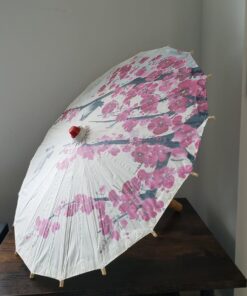 Umbrella oiled paper canopy
