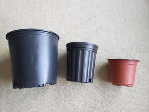 Plastic Plant Pots / Nursery Pots with Drainage Hole - Image 4
