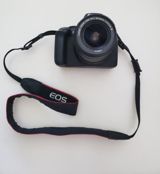 Canon EOS Rebel T7, DSLR Camera, Lights, Bag & Green Screen - Image 3